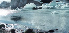 Pleasure.dk p� Island
