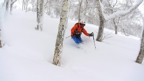 Offpiste i verdens bedste sne
