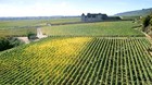 Din bourgogne bliver dyrere