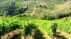 Prisdrop p� italienske supervine 