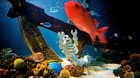 Succeshotel bygget p� Legoklodser