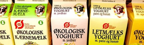 Danskerne er europamestre i �kologi
