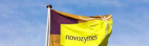 Novozymes sl�r Danisco i kapl�bet om Dong-aftale