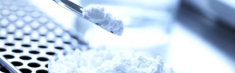 Guldgravere p� klar mission i Novozymes