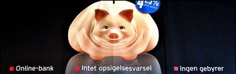 Northern Rocks reklamesvin var en succes
