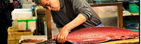 EU vil have truet sushi-tun forbudt