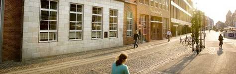 Fakta: Roskilde Banks problemb�rn