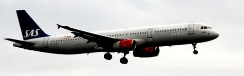 Ekspert: Ny SAS-chef skal v�re energibombe