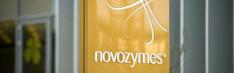 Biobenzin af halm kan skabe tusindvis af job