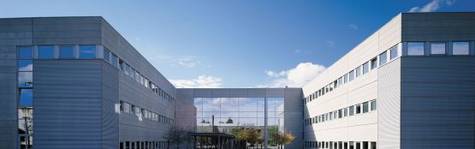 Novozymes laver plastik af sukkerr�r