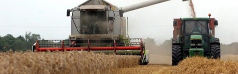 Landbrug og F�devarer: H�sten er kritisk