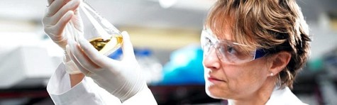 Novozymes-aktie fra 800 kr. til 165 kr.