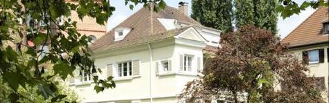 R�dgiver: Risikabelt med mere fleksible flexl�n