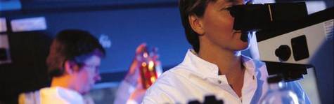 Genmab fortsat p� katastrofekurs
