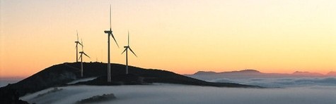 Spansk t�rke i Vestas symbol p� skidt aktiedag
