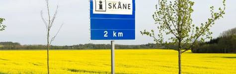 Danskerne gider ikke bo i Sverige