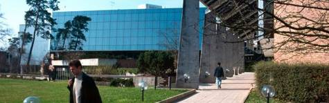 Executive: Mange MBA-skoler m� lukke