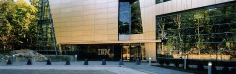 Global IBM-top m�rkl�gger dansk nedbrud