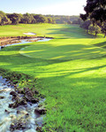 Andalusisk golf i verdensklasse