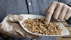 Spirende succes for bagermesteren