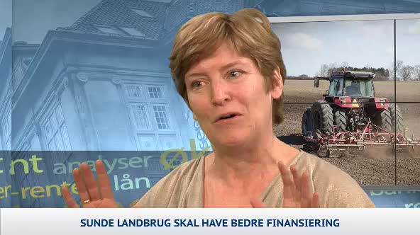Investor 1000: Markant lettelse efter Bankpakke V