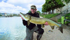 Rovdyr l�s i Indre By