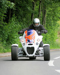 Wild thing