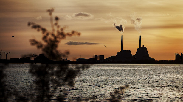 OECD sænker den globale vækstprognose for næste år