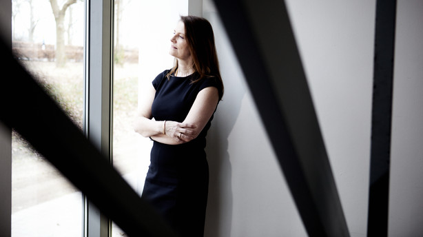 Kapitalfonde: Aktiebremse sender iværksættere og investorer ud af landet