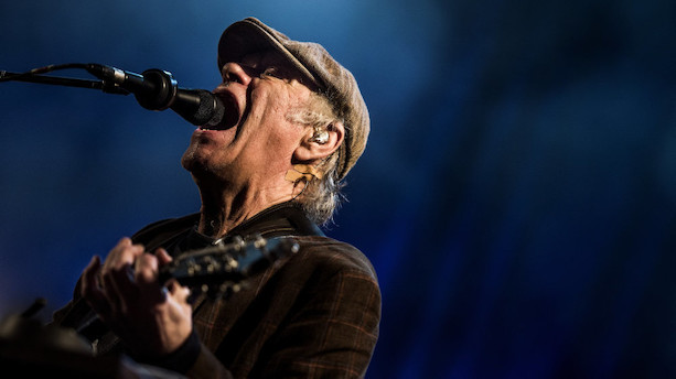 Grøn oase i København kan blive mindeplads for Kim Larsen
