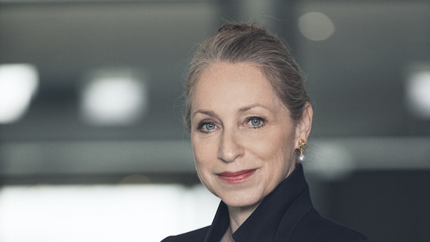 Beskåret aktiesparekonto dur kun som investeringsbørnehave