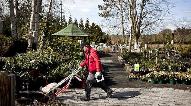 Diskrete familier sidder på guldæg: Rekordoverskud på 100 mio