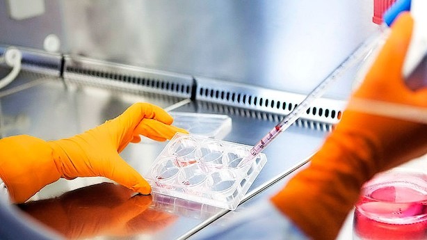 Biotekkomet stiger 40 pct efter gennembrud i kamp mod dødelig muskelsygdom