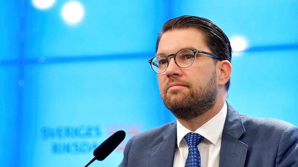 Professor: Sverigedemokrater vil lede fremtidig højreblok