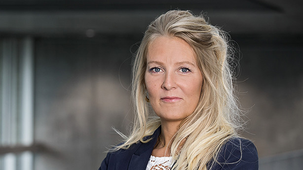 Ny ekspert: Erhvervspsykologen, som insisterer på det lange seje træk