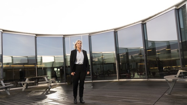 Du kan lige nå det - tjek skatten inden nytår og kom ind i 2020 med flere penge på lommen