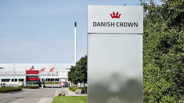 750 slagterifolk fra Horsens i konflikt med ledelse strejker