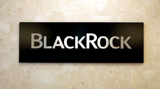 Blackrock foretrækker finanspapirer i 2017