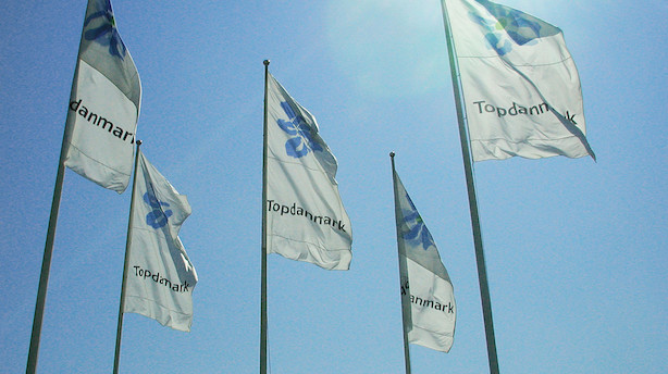 Alm. Brands digitaliseringsdirektør bliver ny direktør i Topdanmark.