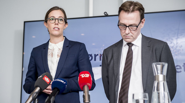 Ekspert: Lang proces før Britta Nielsen kommer til Danmark