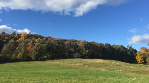 Efterårets farver forfører i Upstate New York