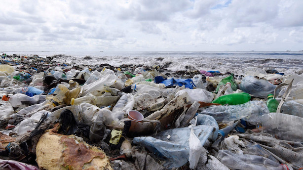 New Zealand forbyder plastikposer i kamp for bedre miljø