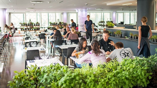 Dansk restaurantapp gør som mange andre: Går på børsen i Sverige til januar
