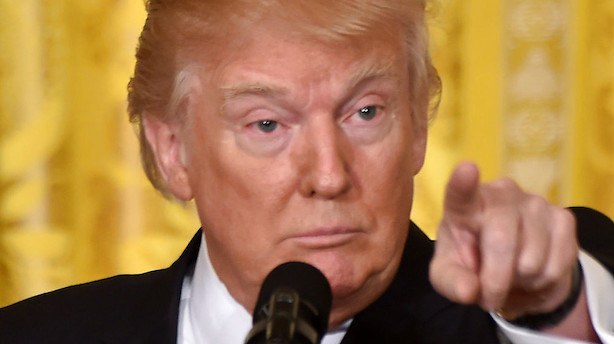 Medie: Trump vil pudse nationalgarden på indvandrere