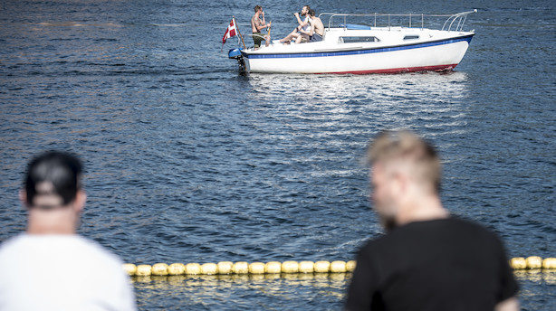 Salget af rosévin, øl og is eksploderer i denne sommer