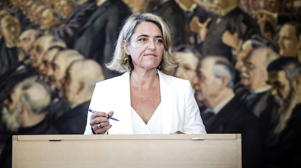 Endnu et folketingsmedlem fra Alternativet stempler ud
