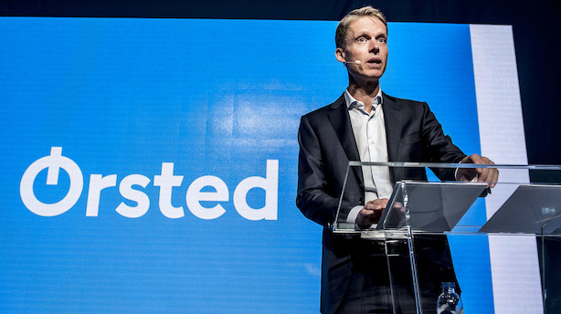 Medier: Giganter byder op til 26 mia kr for Ørsted-selskab