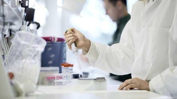 Sydbank: Februars salgstal for Darzalex lover godt for Genmab