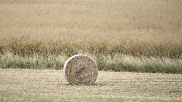 Den hede sommer kan give høj varmeregning til vinter
