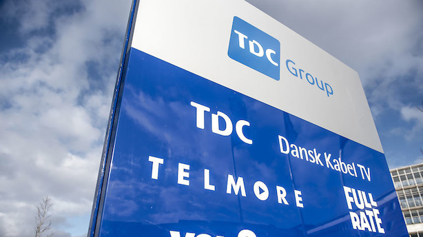 TDC-bestyrelse på plads - ny formand er midlertidig